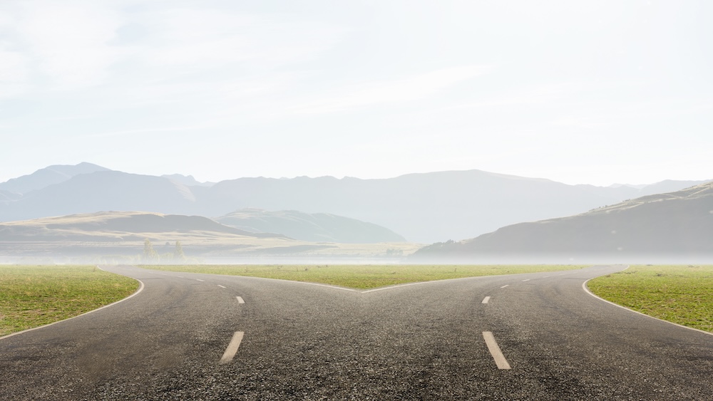 Two roads diverging left and right.